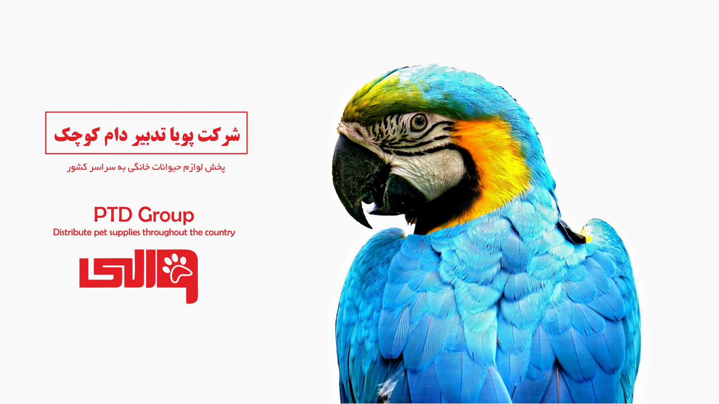 بنر شماره 2