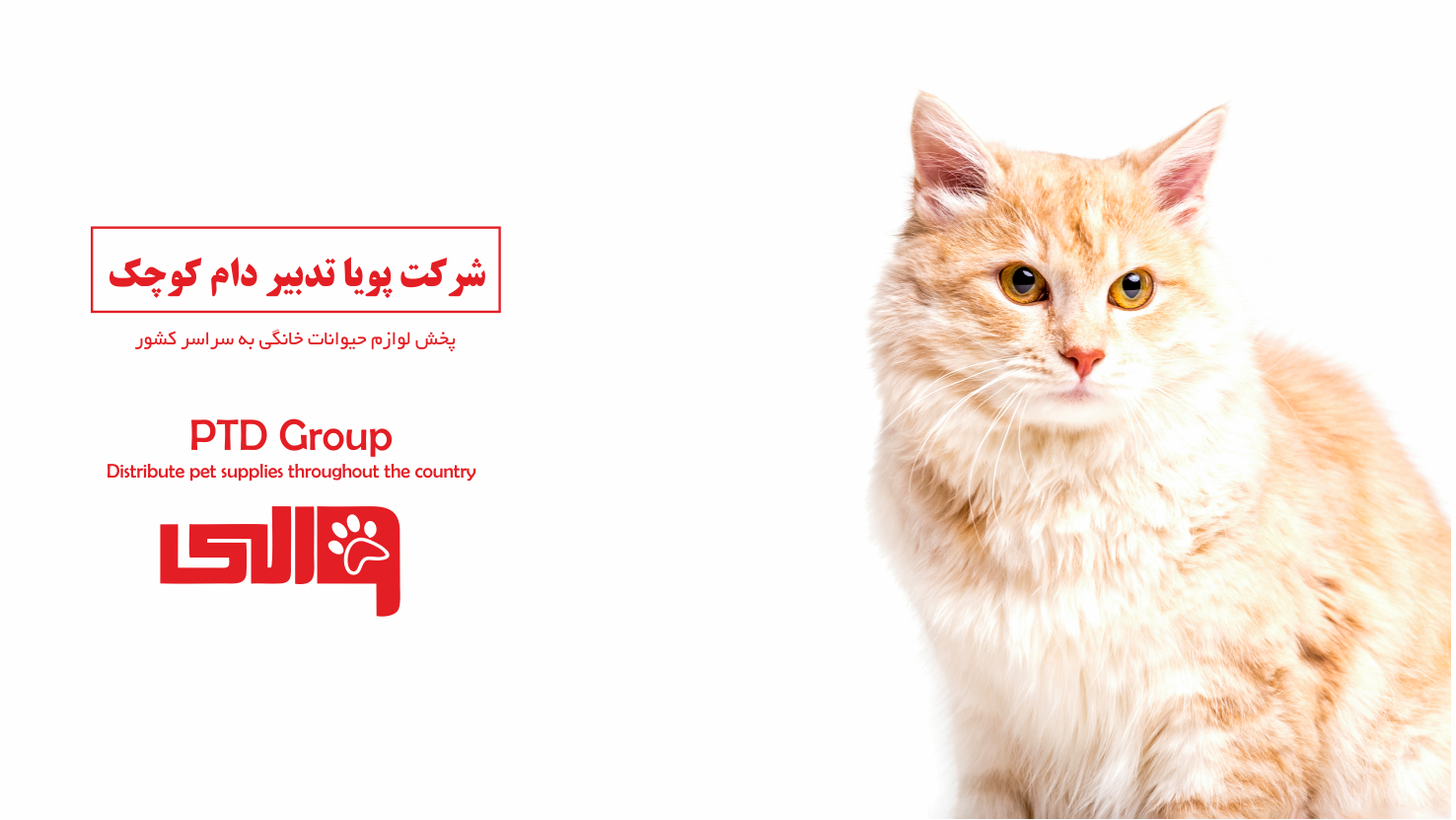 بنر شماره 4