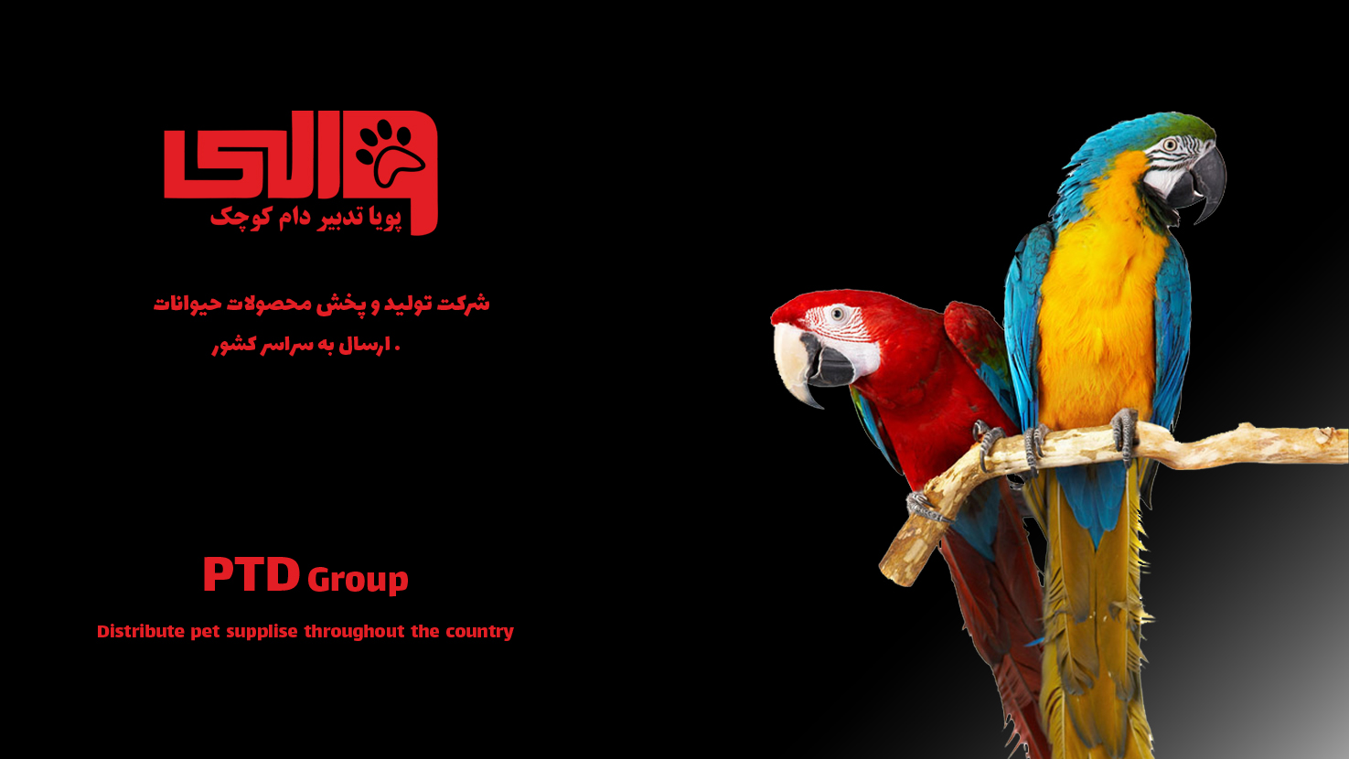 بنر صفحه اصلی پرنده